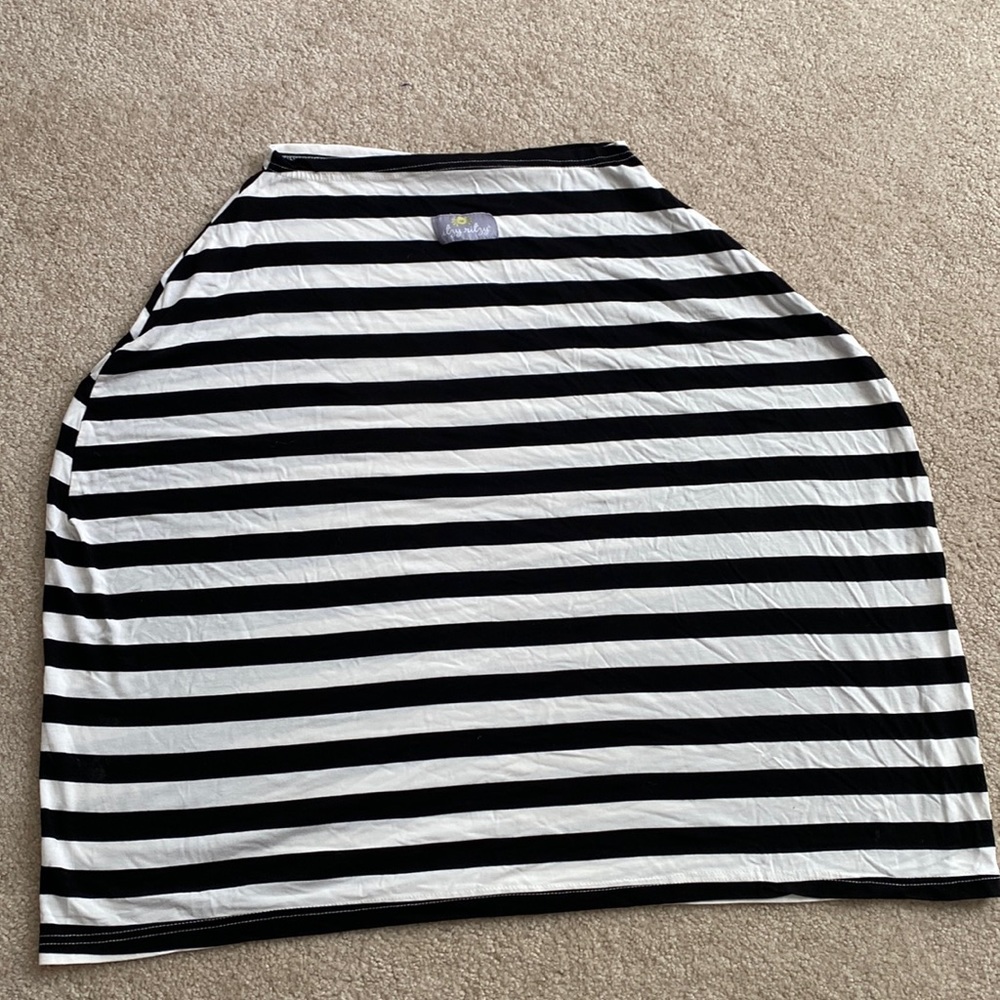 Itzy Ritzy Car seat and nursing cover